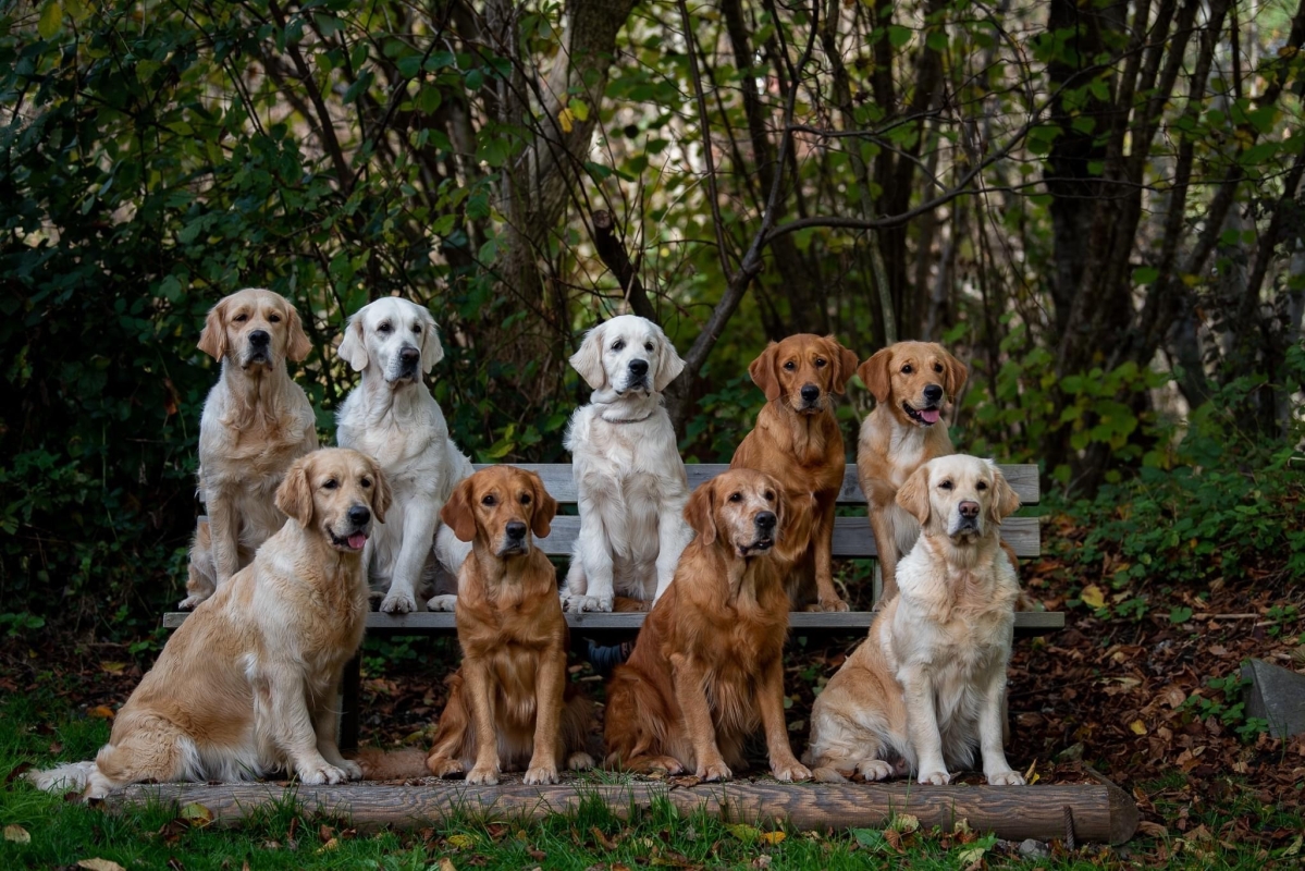 Gruppenfoto mit Seltenheitswert