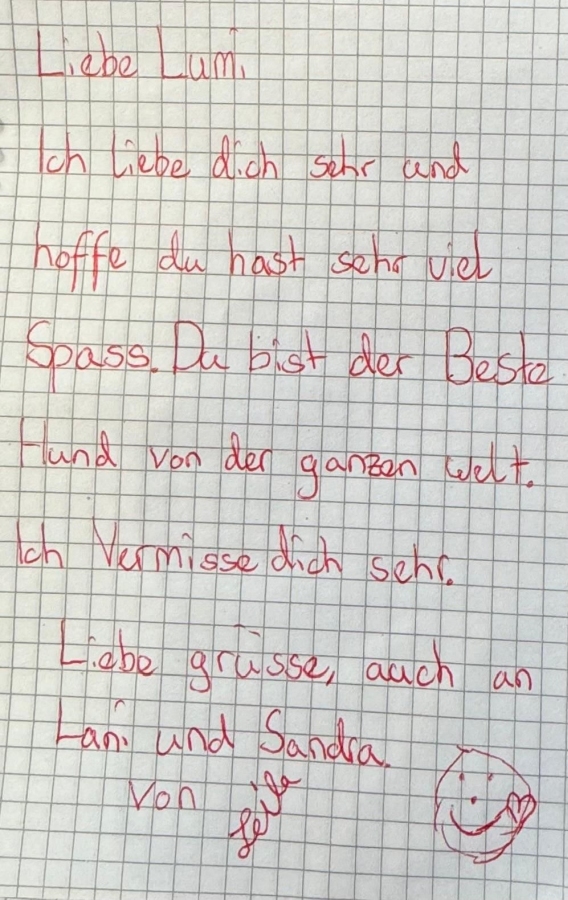 Liebesbrief an Lumi (L-Wurf)