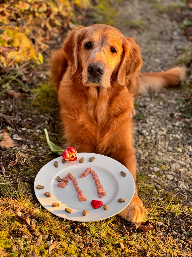 Happy 11th Birthday Aileen