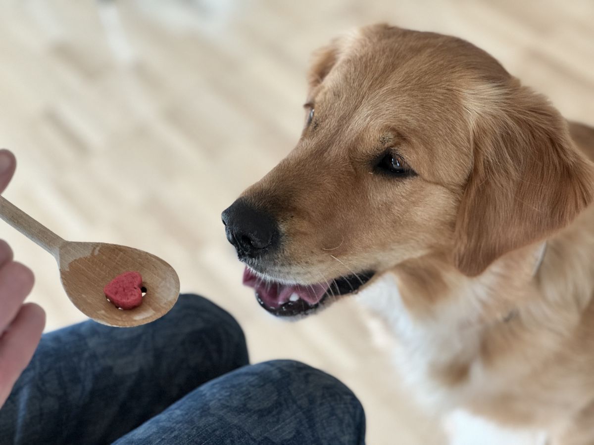 Nayla bekommt ein Leckerli von einer Bewohnerin