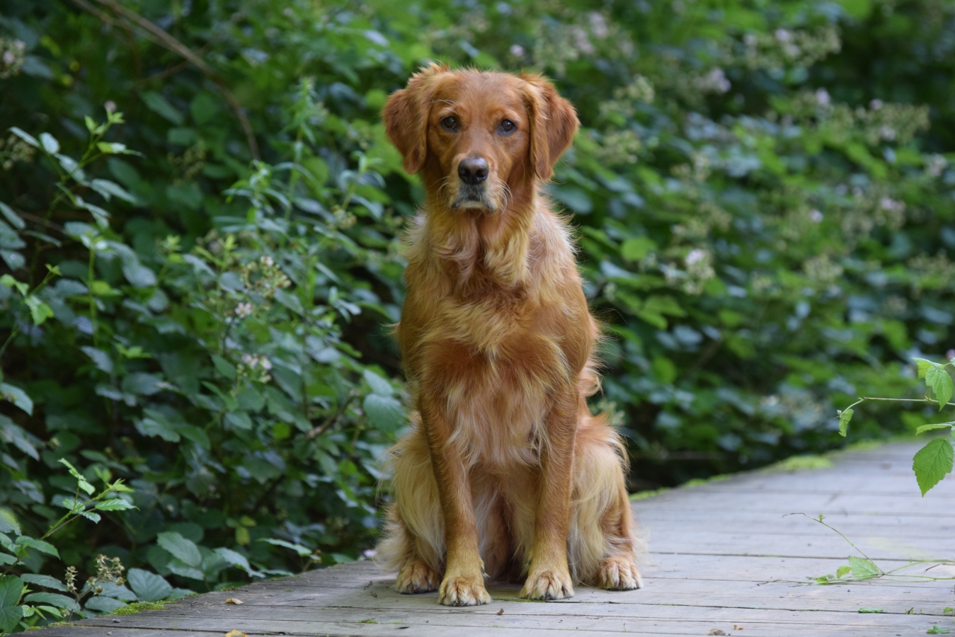 Ajka Secrets of Whirlwind