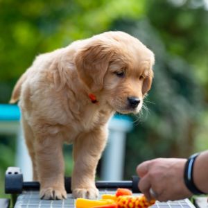 Fion (m) am 29.09.2018