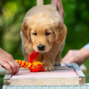 Fion (m) am 29.09.2018