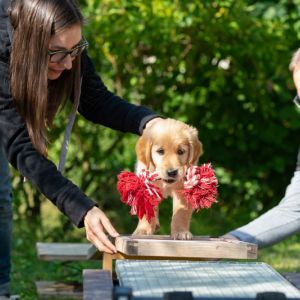 Juri (Flash, m) am 29.09.2018