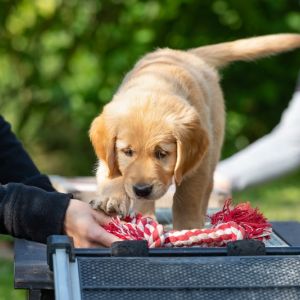 Juri (Flash, m) am 29.09.2018