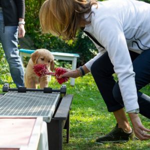 Cisco (Francisco, m) am 29.09.2018