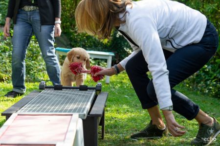 Cisco (Francisco, m) am 29.09.2018