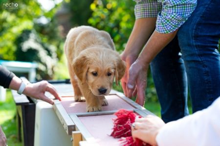 Cisco (Francisco, m) am 29.09.2018