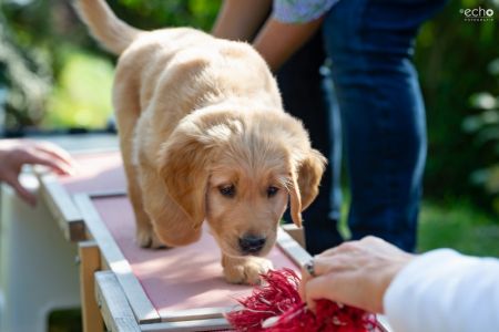 Cisco (Francisco, m) am 29.09.2018