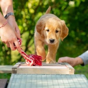 Fly (w) am 29.09.2018