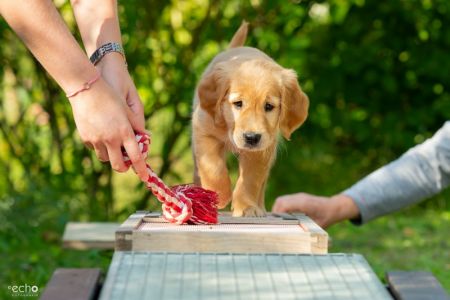 Fly (w) am 29.09.2018