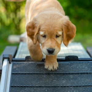 Fly (w) am 29.09.2018