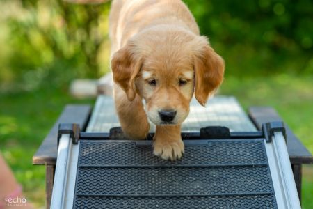 Fly (w) am 29.09.2018