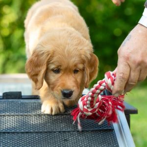 Fynn (m) am 29.09.2018