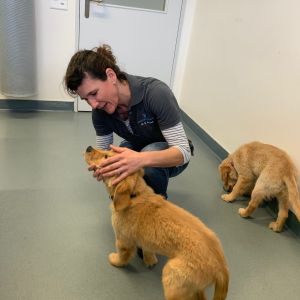 Marley und Nala am 14.02.2020 bei der Tierärztin in der Klinik Aarau West. Marley und Nala am 14.02.2020 bei der Tierärztin in der Klinik Aarau West.