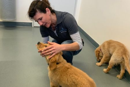 Marley und Nala am 14.02.2020 bei der Tierärztin in der Klinik Aarau West.