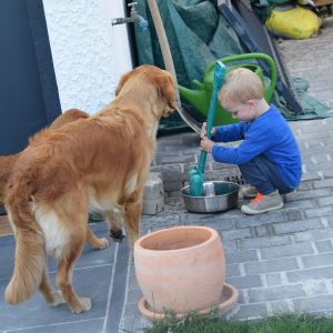 Marley in Wolken (D) am 11.09.2020