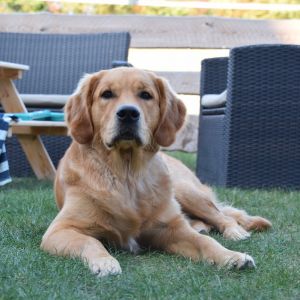 Marley in Wolken (D) am 11.09.2020