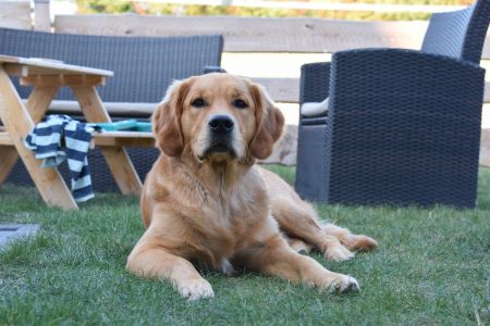 Marley in Wolken (D) am 11.09.2020