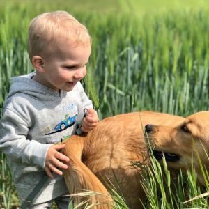 Marley (Gadi, m) im April 2020