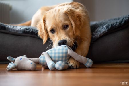 Nala (Gaya, w) am 21.03.2020