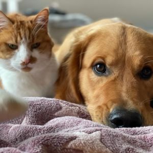 Marley&nbsp;(Gadi, m) am 27.01.2021