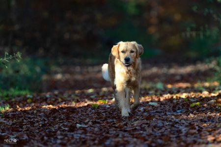 Nala (Gaya, w) am 21.11.2021