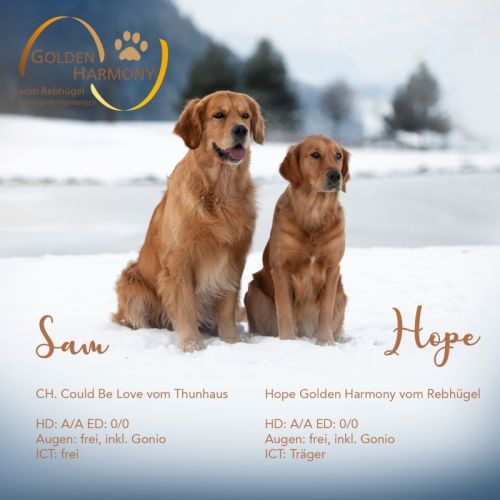 Sam & Hope